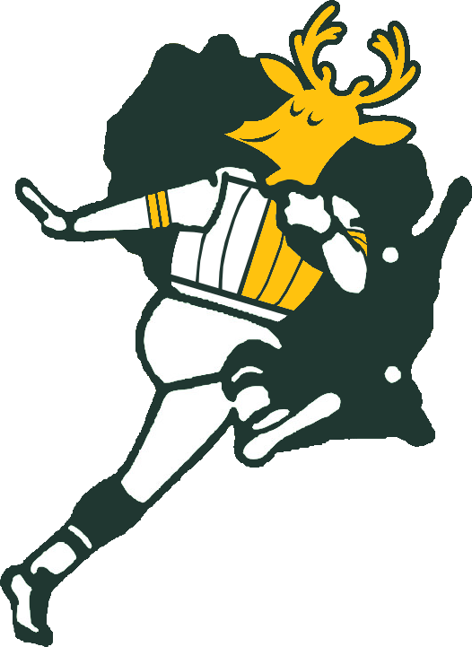 Xonum6f - Green Bay Packers Old (526x721)