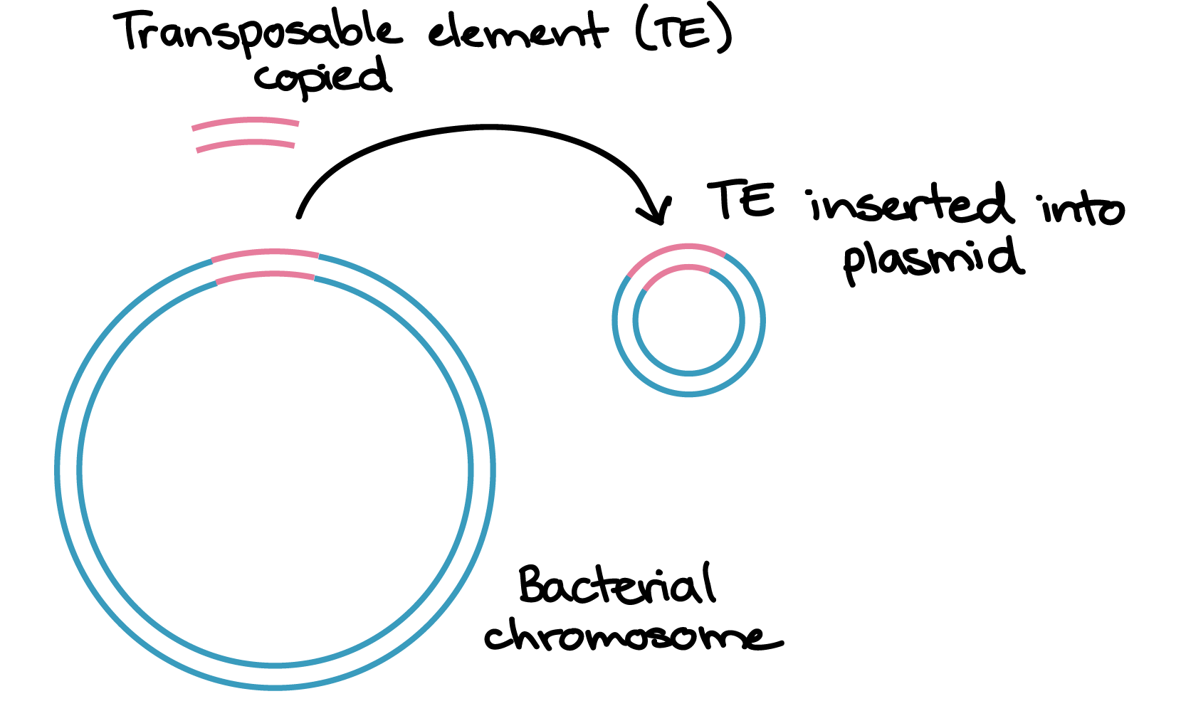 Circle (1658x1031)