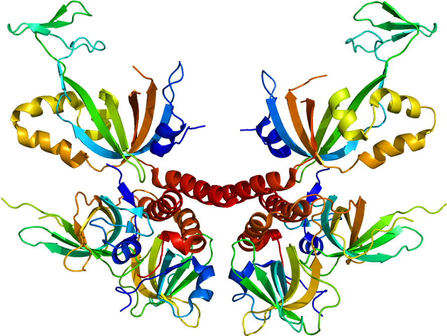 Protein Strand (937x717)