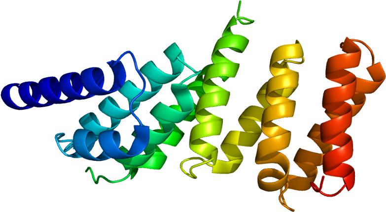Eif4g3 (832x480)