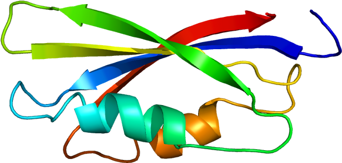 Protein Data Bank (717x367)