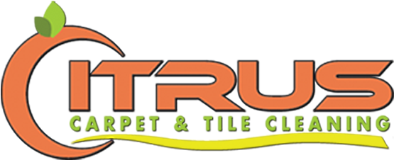 Image Is Not Available - Carpet Cleaning (600x263)