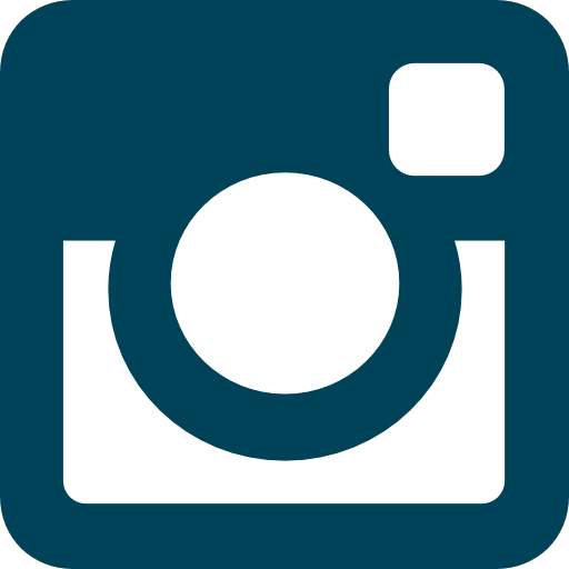 All Rights Reserved - Instagram Button Gray (512x512)
