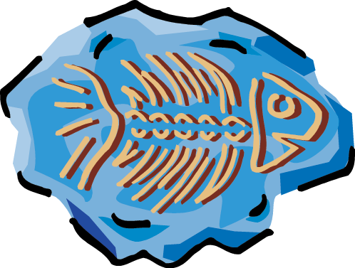 Fossil - Fossil (498x377)