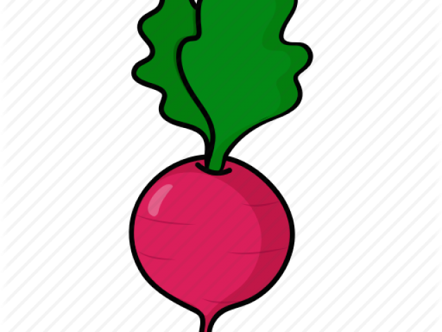 Beetroot Clipart Vegitables - Beetroot (640x480)