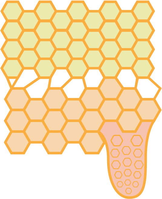 Queen Cell - Houdini (568x711)