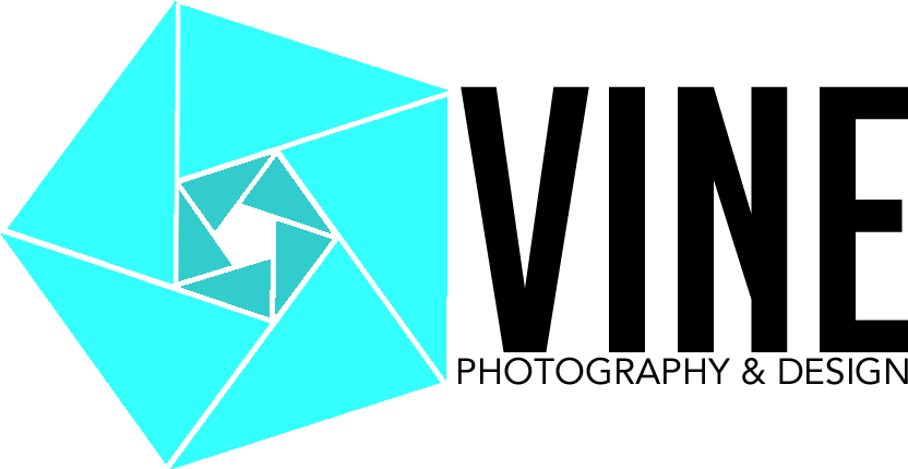 Vine Photography & Design - Triangle (1000x472)