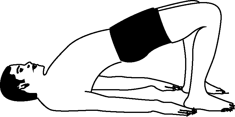 Setubandhasana - - Setubandhasana - (796x399)