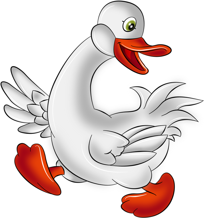 Drawn Swan Duck - 大白 鹅 卡通 (800x800)