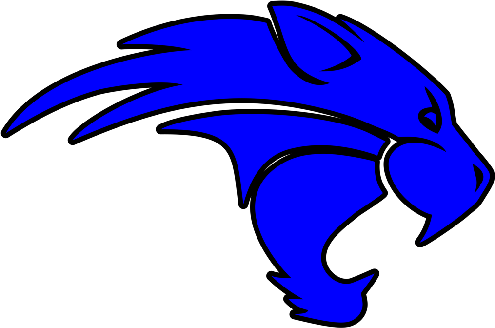 Contact - Wildcat Logo (1024x692)