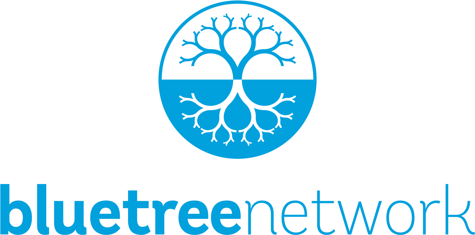 Bluetree Network Logo - Hospital (2500x1283)