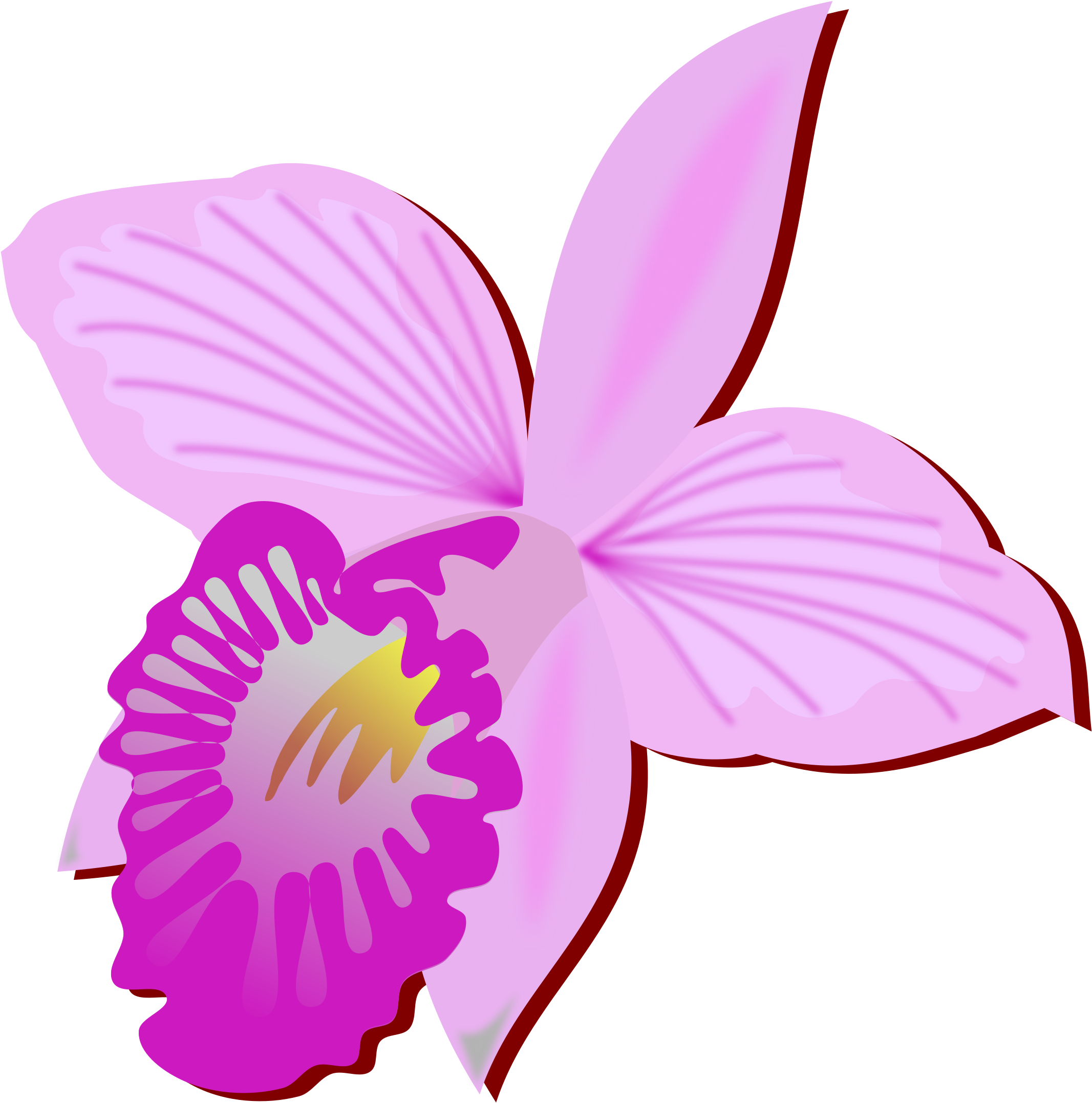 Big Image - Orchidee Clipart (2400x2400)