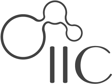 Iic Iic - Iic Iic (400x300)