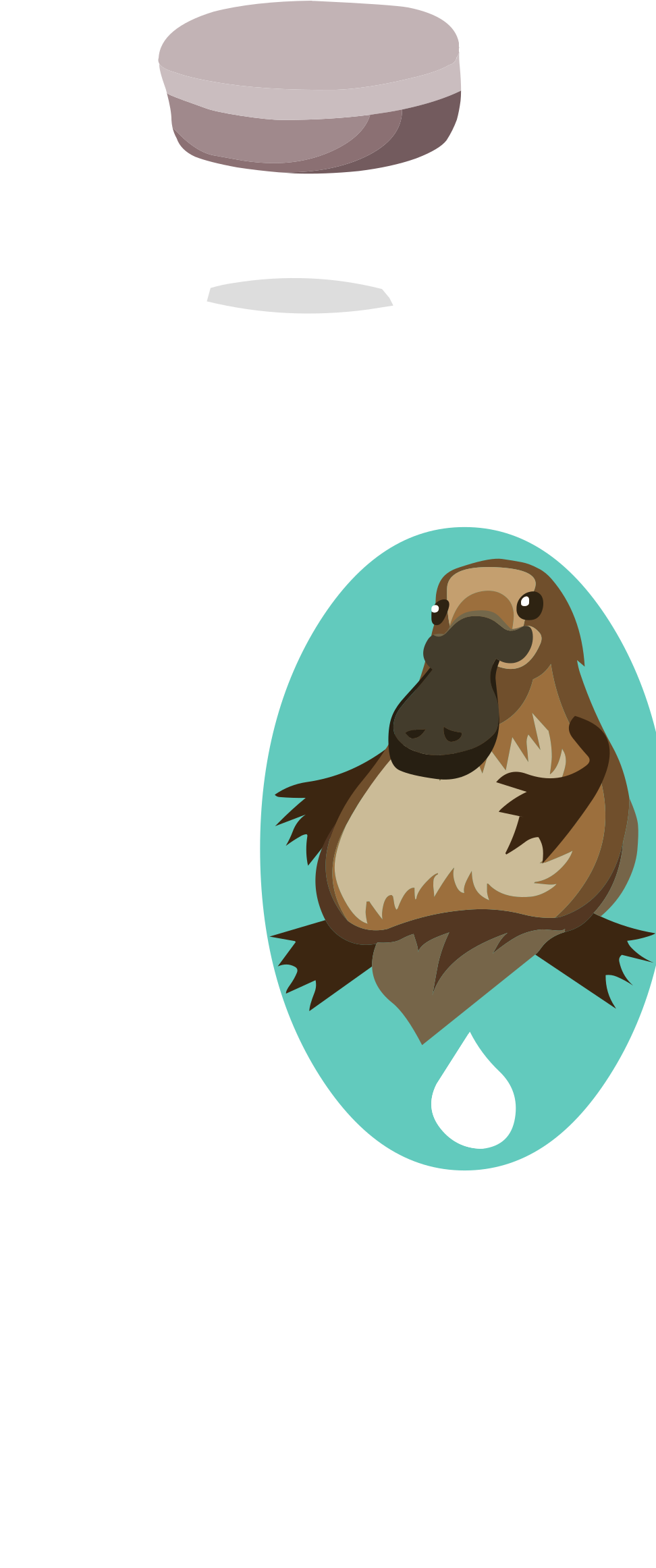 Milk Platypus - Cartoon (1012x2400)