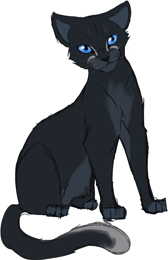 Bluestar By Loryzuzz - Black Cat (800x900)