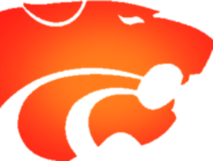 Palmyra High School Logo (720x544)