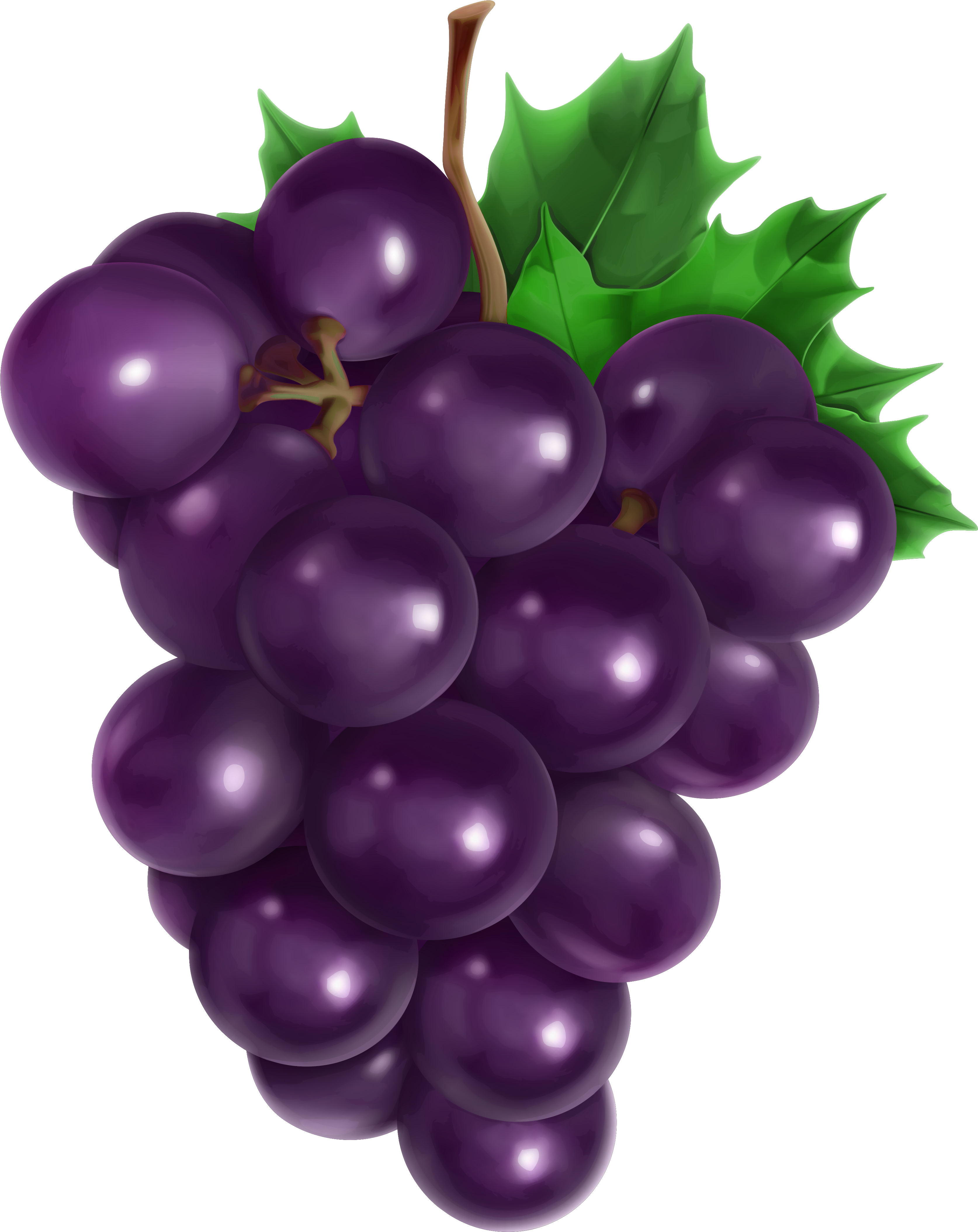 Transparent Grape (3596x4520)