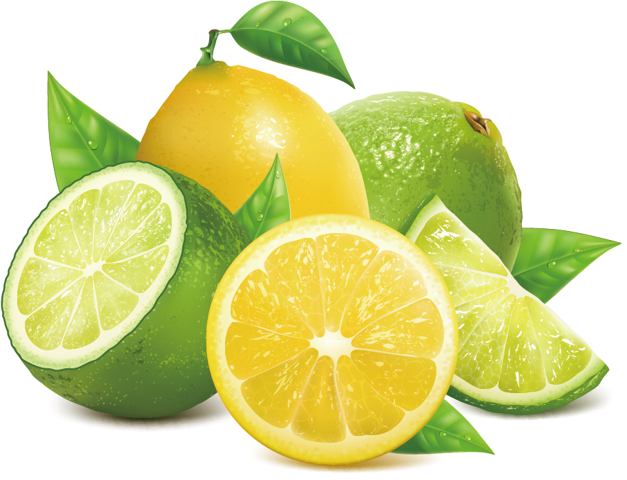 Lemon Key Lime - Vector Lime Png (1181x1181)