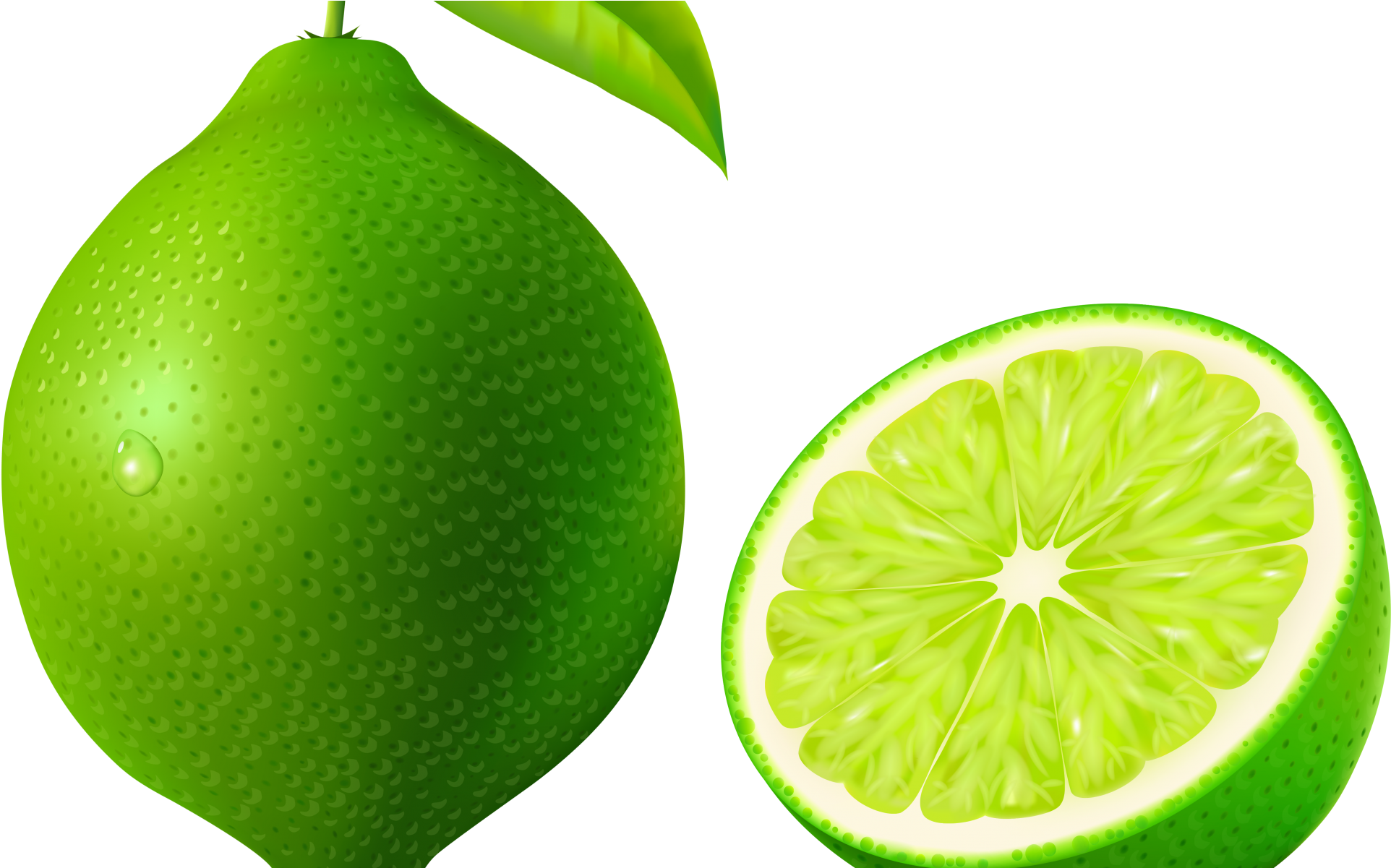 Lime Clipart - Lime Clipart (2000x1200)