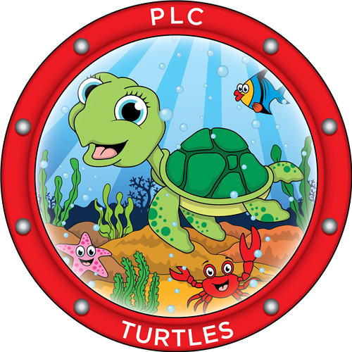 Turtles - Turtle (500x500)