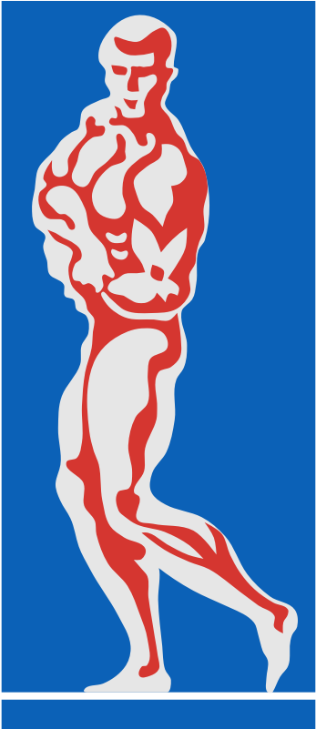 Bodybuilder - - Clip Art (800x800)