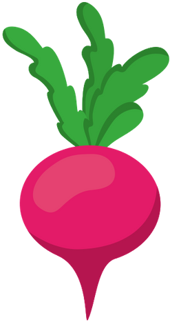 Turnip - Vegetable (446x550)