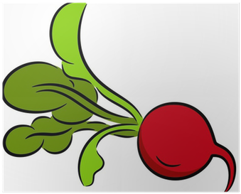 Radish (400x400)
