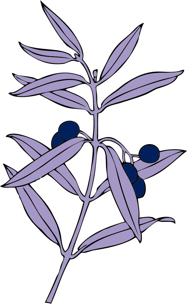 Oak Leaf Autumn - Olive Branch (600x974)