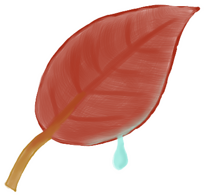 Format - Png - Icon (512x512)