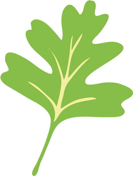 Picture - Green (608x649)