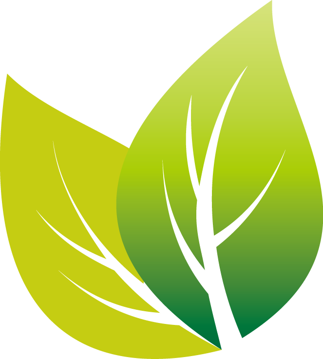 White Tea Android - Tea Leaves Transparent Background Vectors (663x737)