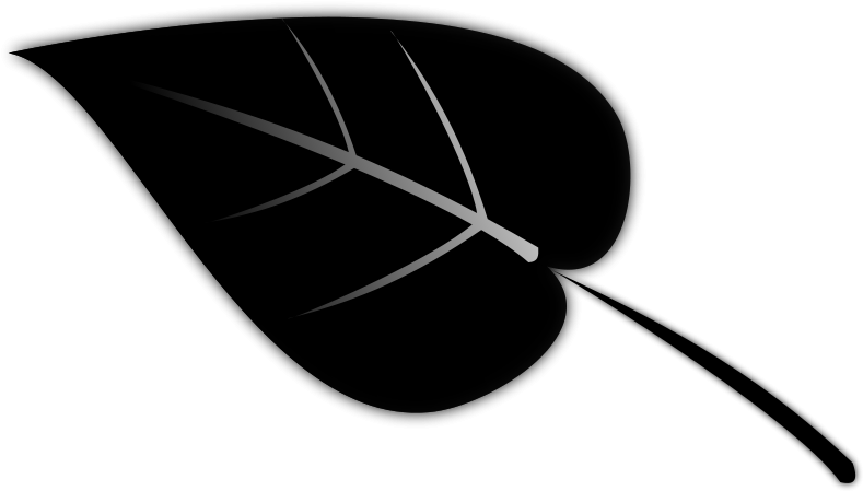 Leaf - Silhouette Of A Leaf (800x453)