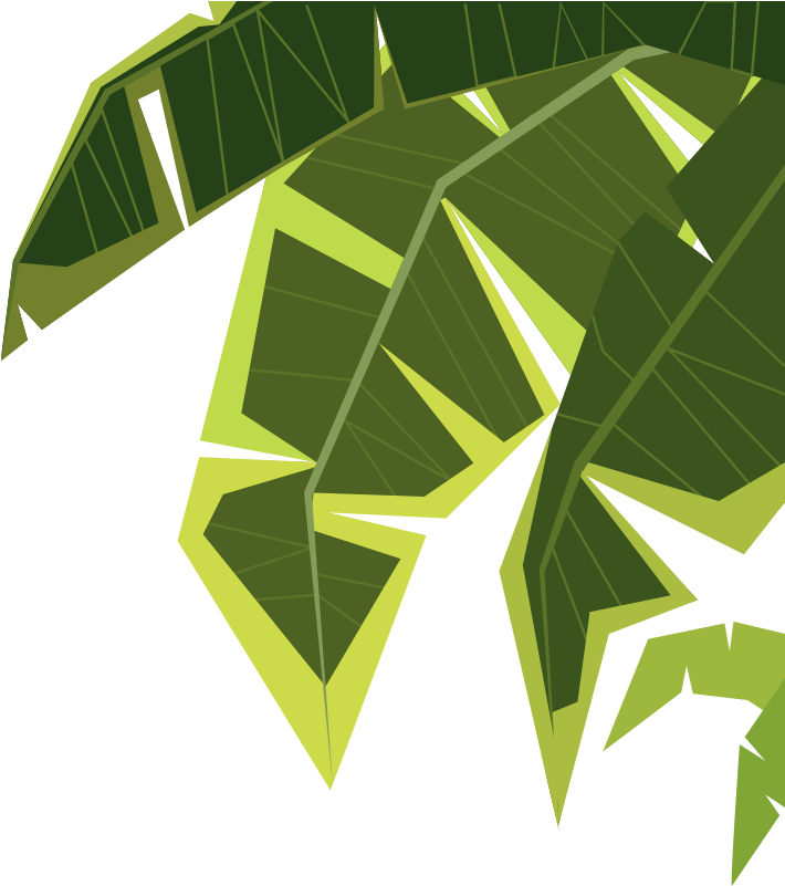 Green Palm Leaves - Illustration (1000x800)
