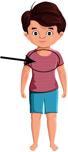 Noun - Cartoon (512x512)