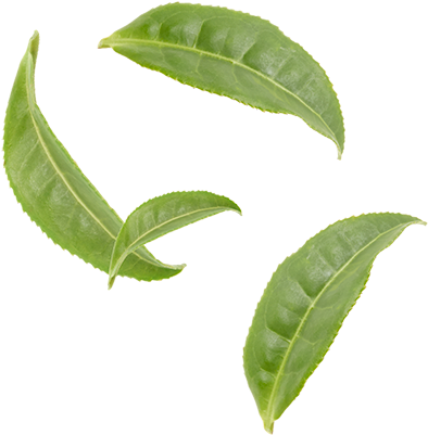 Catechin (400x400)