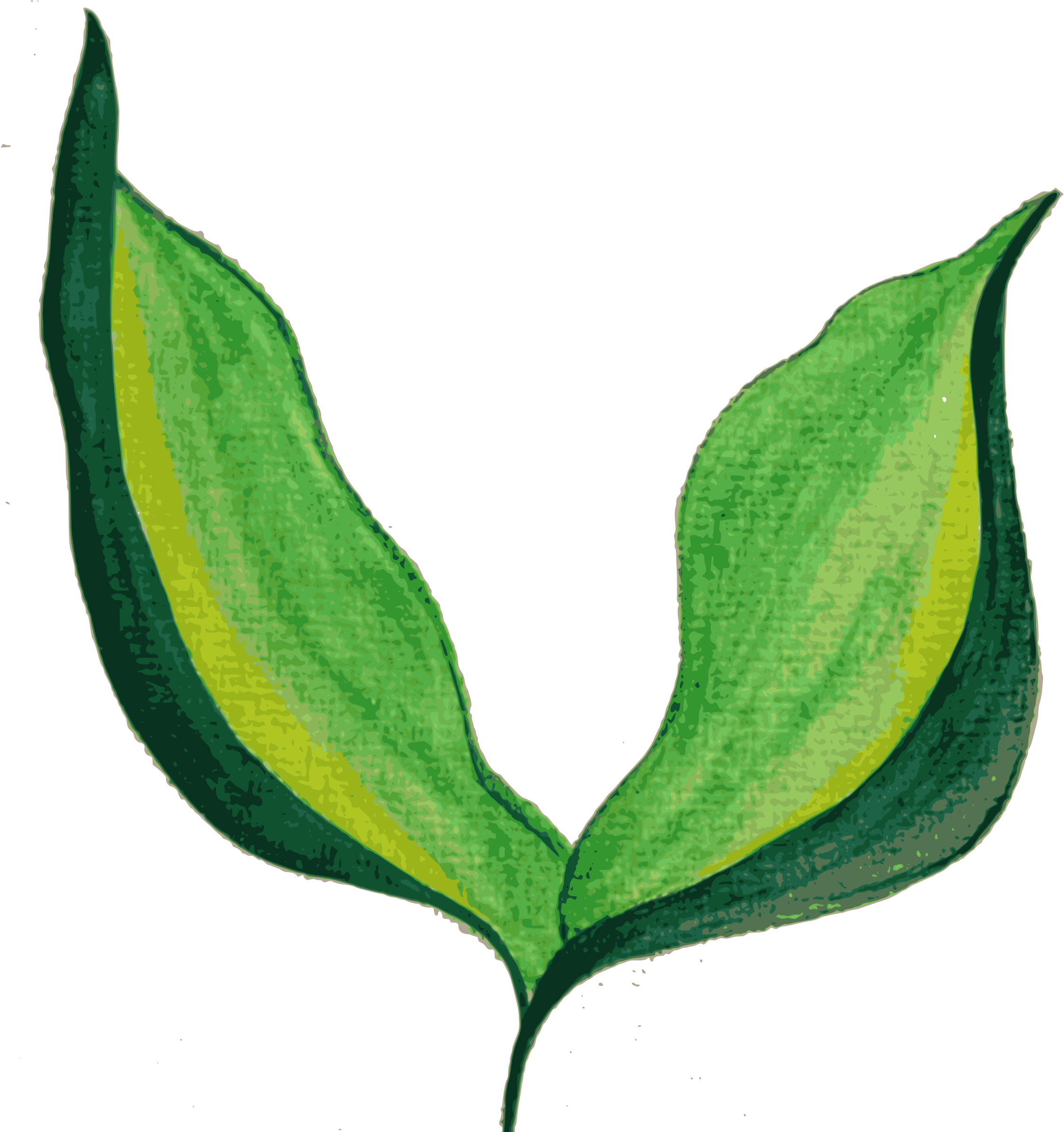 Leaves , Background-devoid - Painted Leaves Png (2396x2400)