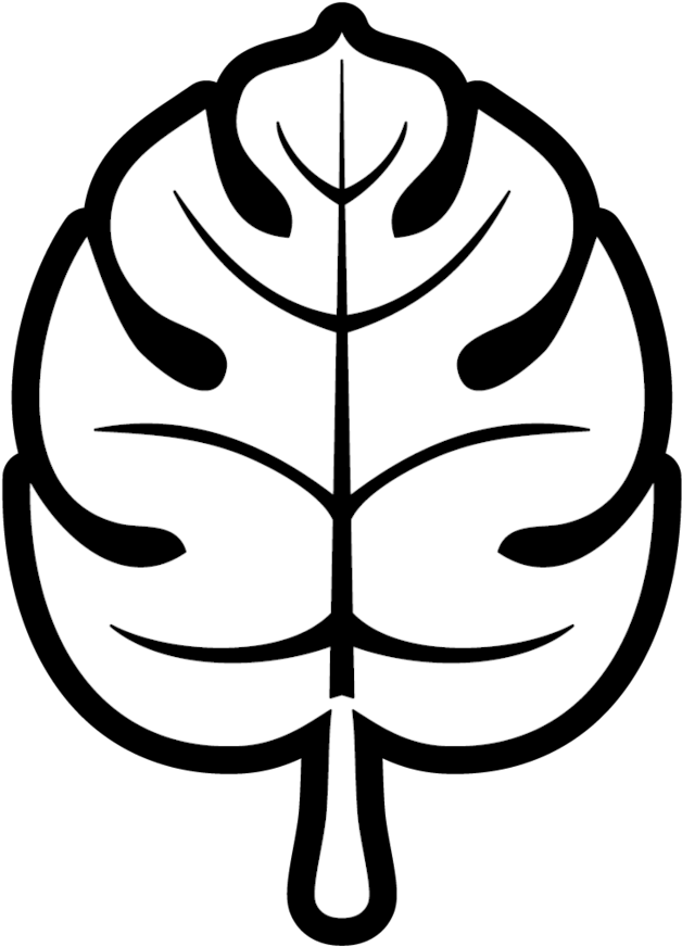  Leaf (1000x1000)