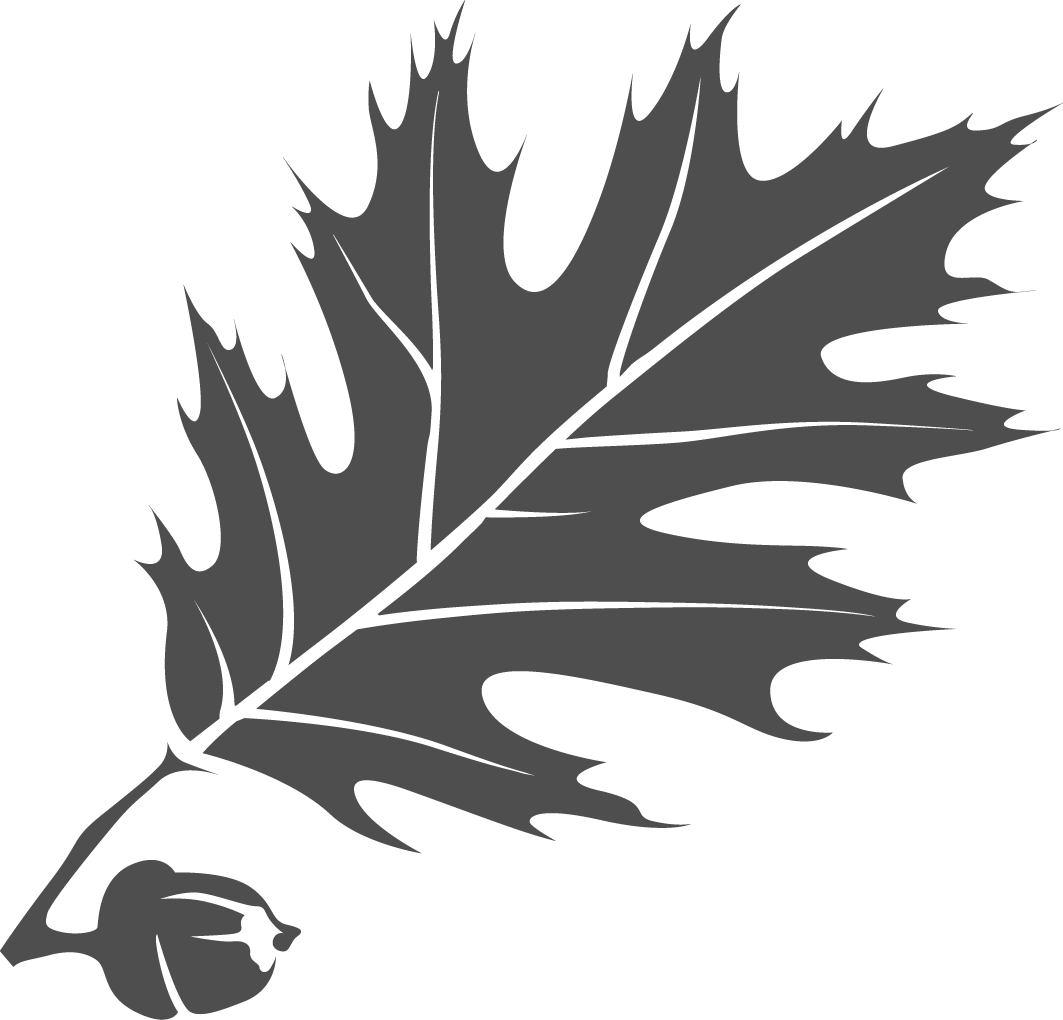 Gray Leaf - Thomas College (1063x1020)