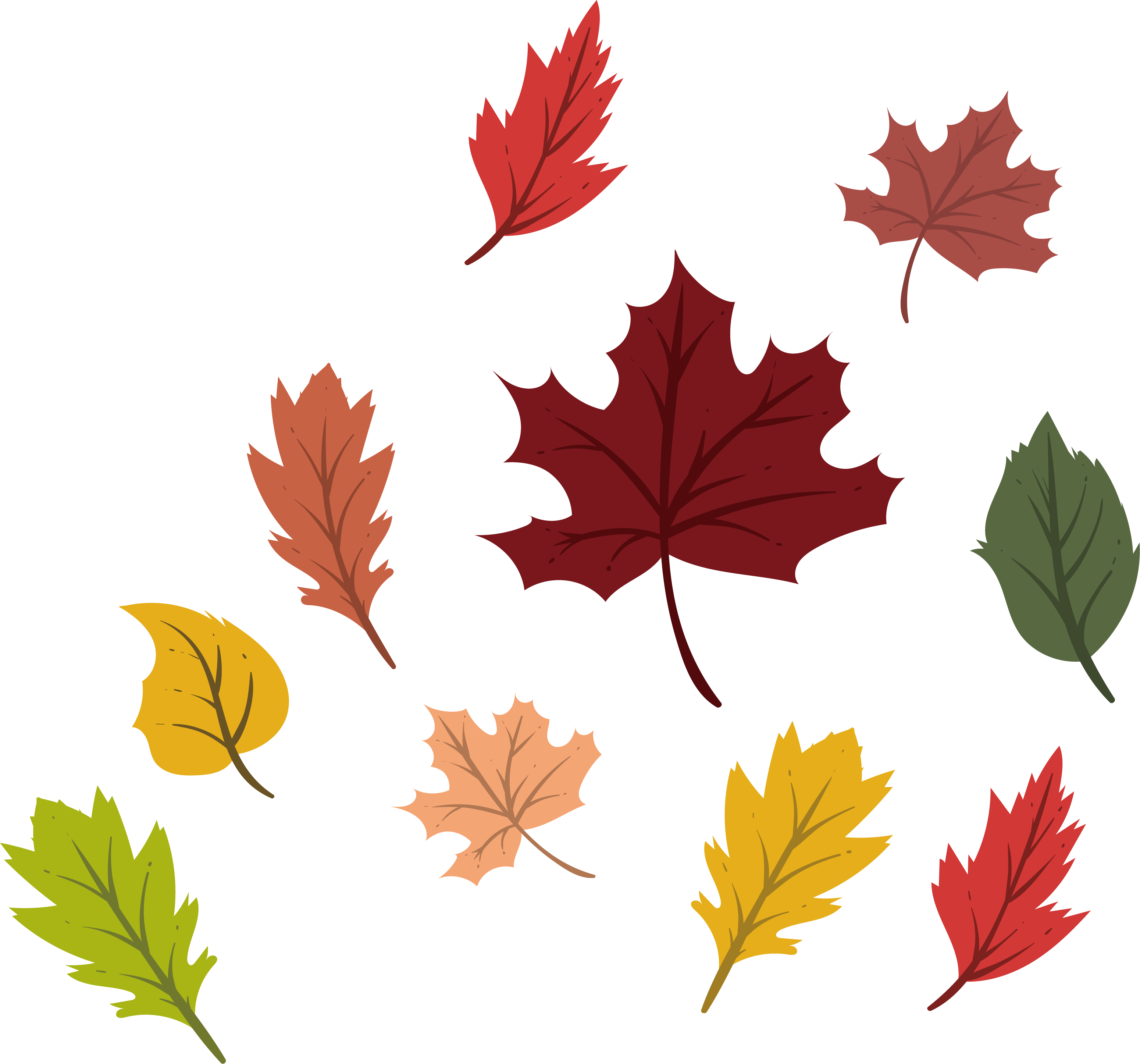 Maple Leaf Autumn Deciduous - Maple Leaf (3100x2893)