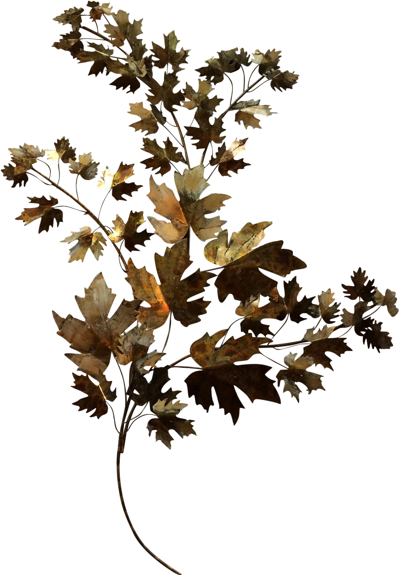   Leaf (1699x2451)