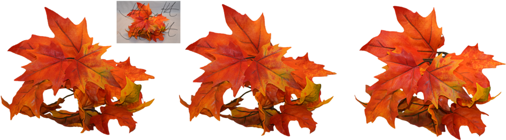 Autumn Leaf Color (1024x295)