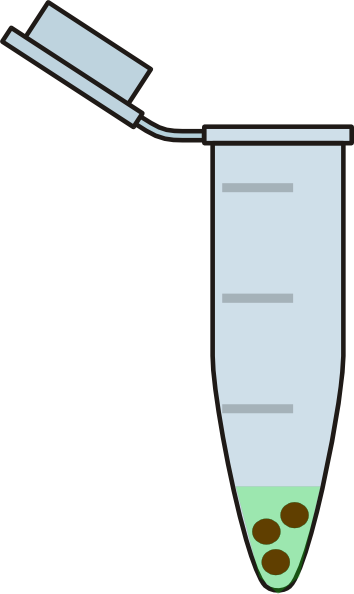 Eppendorf Tube With Cells (354x594)