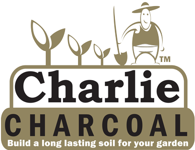 Charlie Charcoal - 11 Plus (400x302)