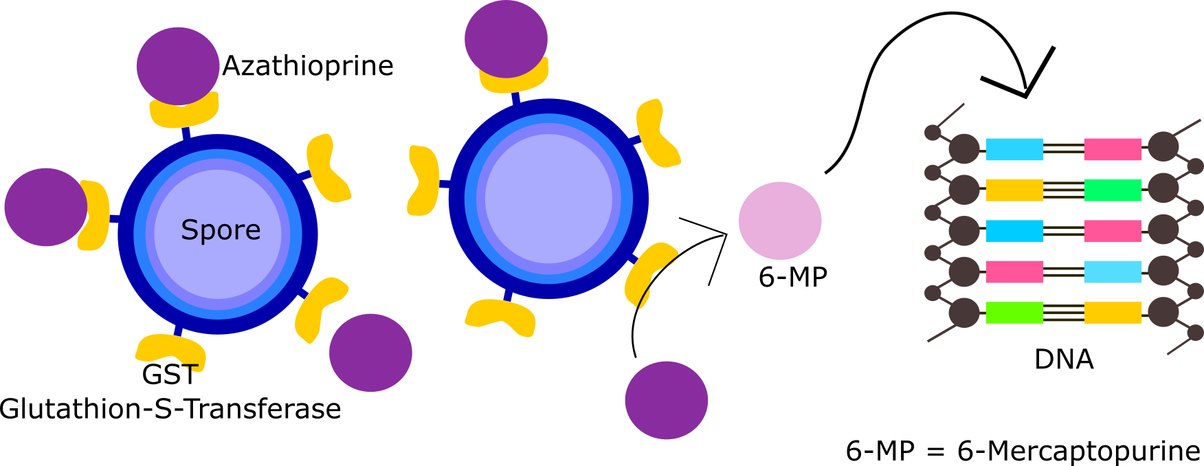 Smiley Face Smiley Face - Smiley (1752x678)