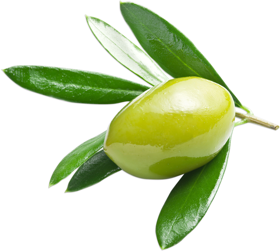 Olive (1000x928)
