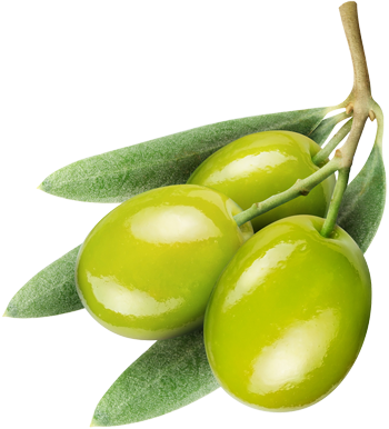 Olive Png (350x386)