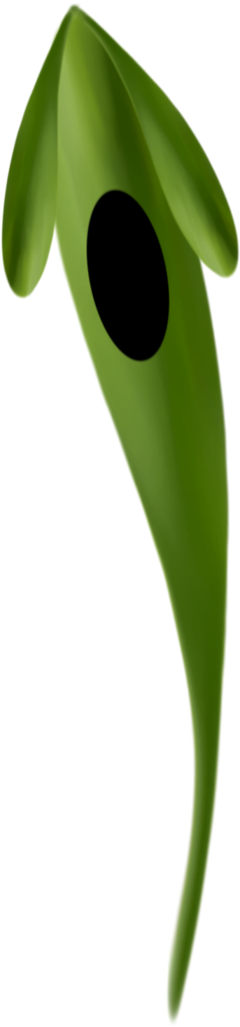 Nest Box (447x1500)