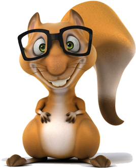 Company Performance - Squirrel With Glasses (570x330)