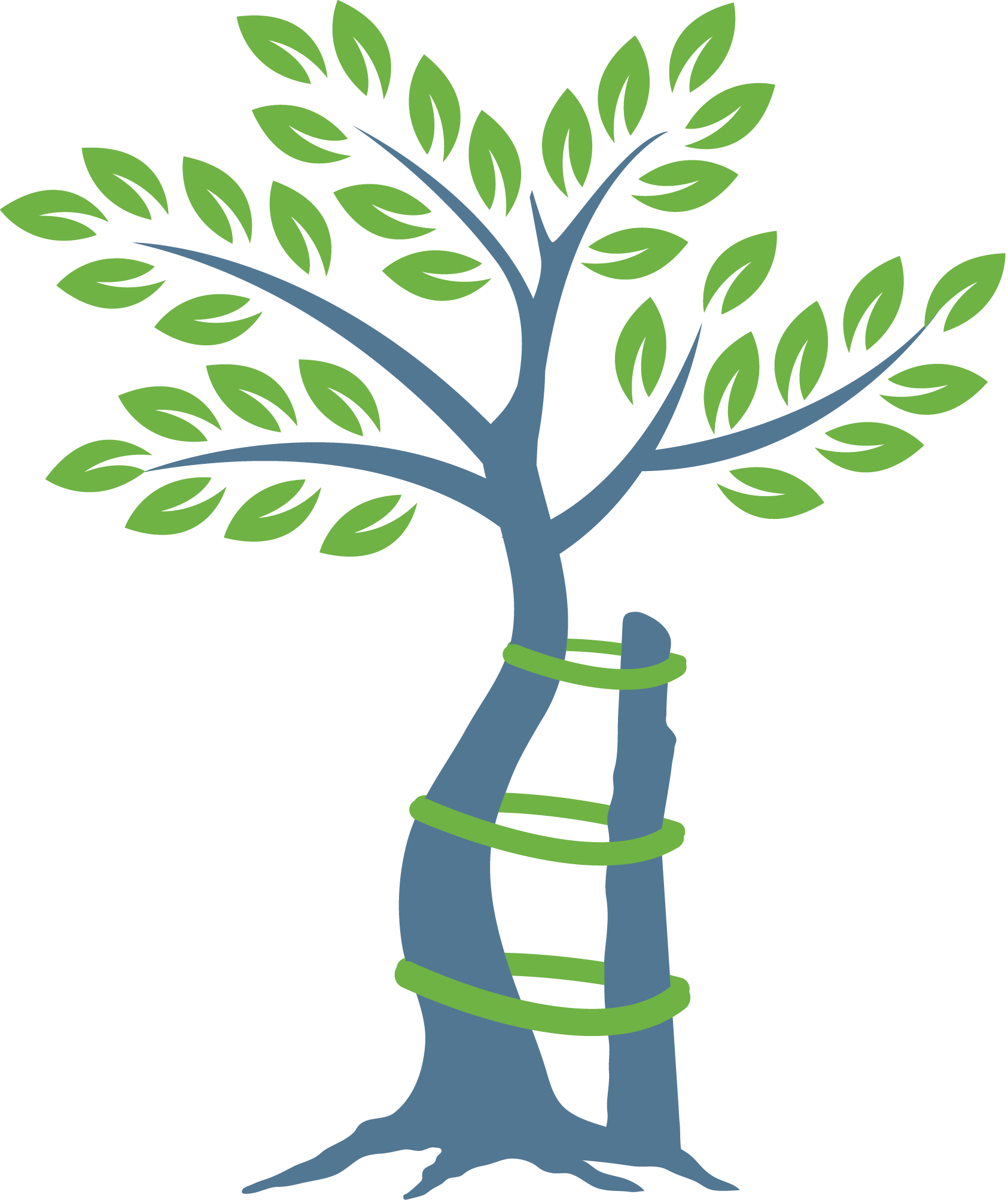 Orthopaedic Tree Logo (1685x2005)