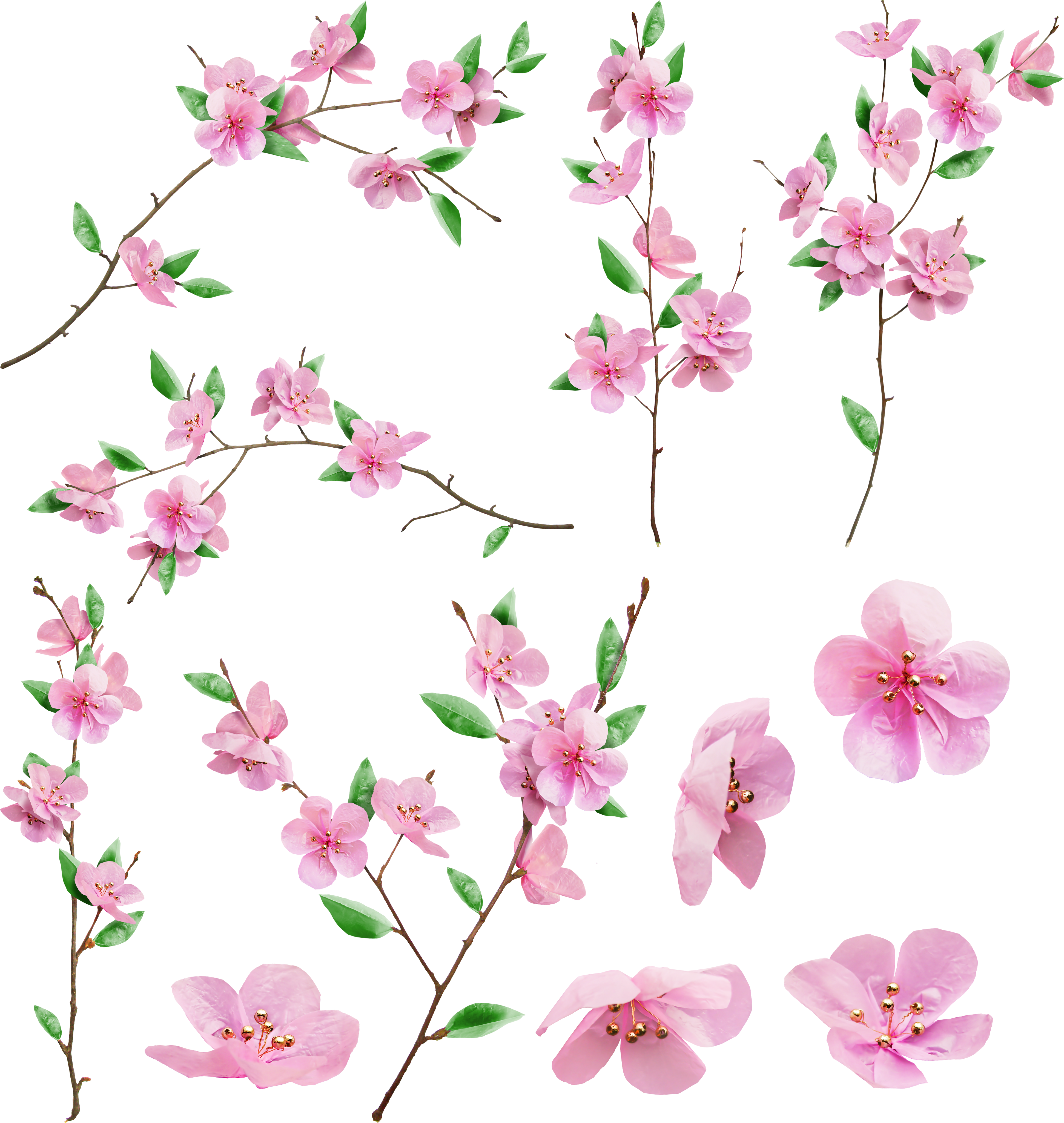 Cherry Blossom (3885x4101)
